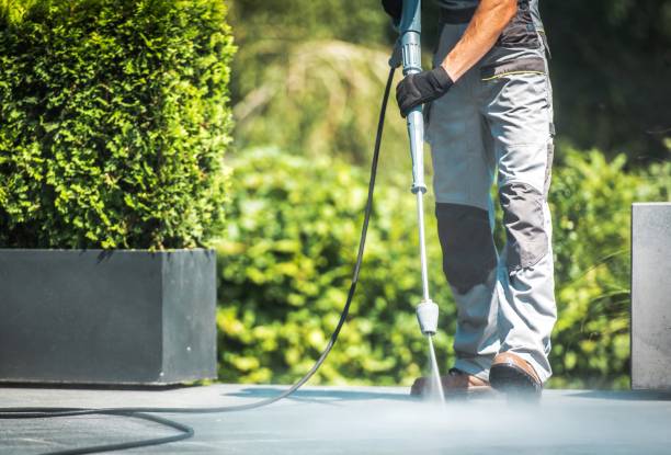 Best Roof Washing  in Boulevard Park, WA